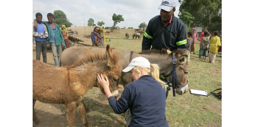 Ashleigh Brown with a donkey Ashleigh Brown with a donkey