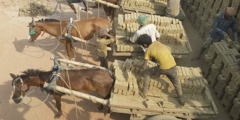 Horses working in Bhadiya Brick Kiln in Nepal Horses working in Bhadiya Brick Kiln in Nepal