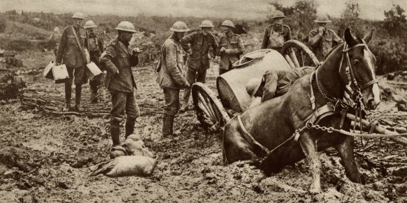 British horse sunk in mud British horse sunk in mud