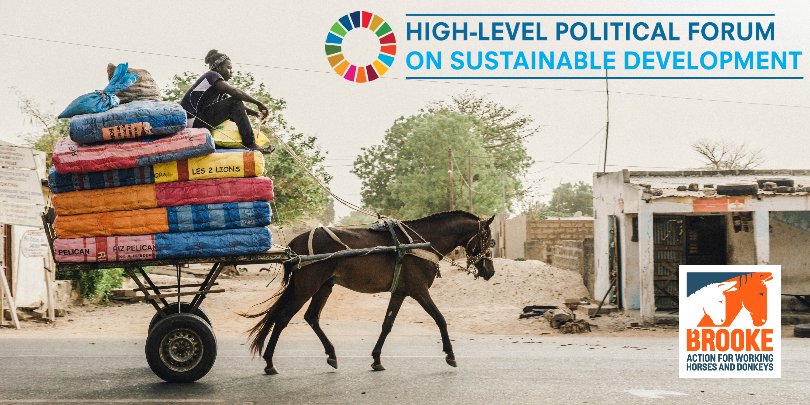 Brooke at HLPF Brooke at HLPF