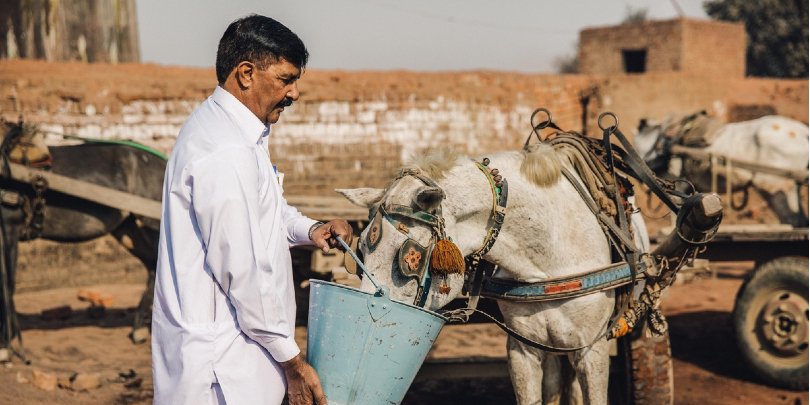 providing water for a brick kiln horse providing water for a brick kiln horse
