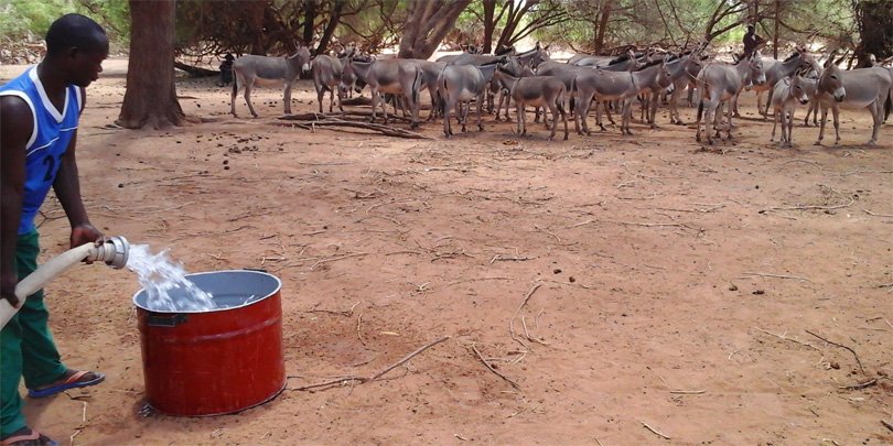 Water delivery, Lomil, Turkana Water being delivered in Lomil, Turkana
