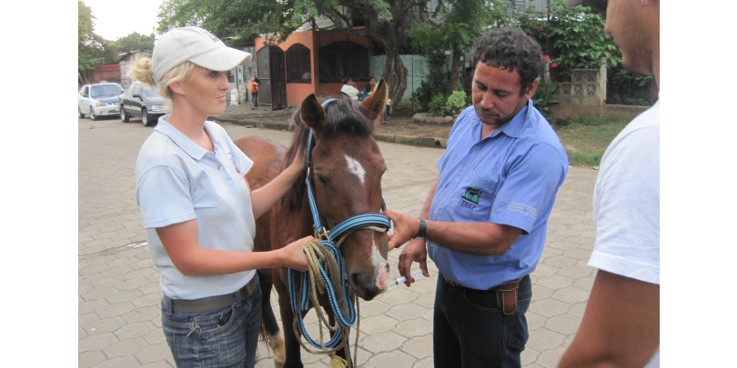 Ashleigh scoping the welfare needs of a horse in Nicaragua Ashleigh scoping the welfare needs of a horse in Nicaragua