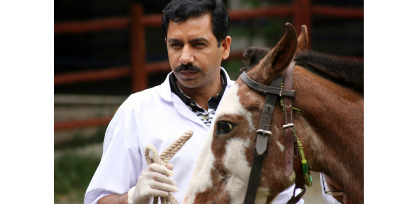 Dr Gondal teaching humane horse handling Dr Javed Gondal with horse