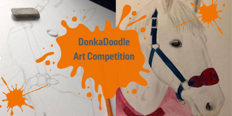 Donkadoodle art competition Horse drawings for art competition