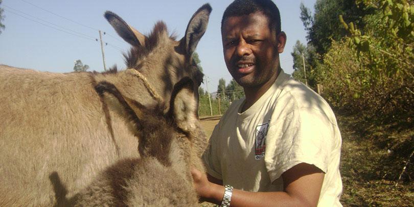 Alemayehu with donkey and foal