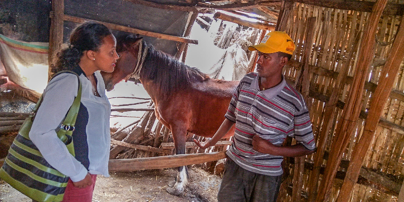 Nardos having a one-to-one discussion with an equine owner at his home about the welfare of his horse Nardos Eshetu with man and horse