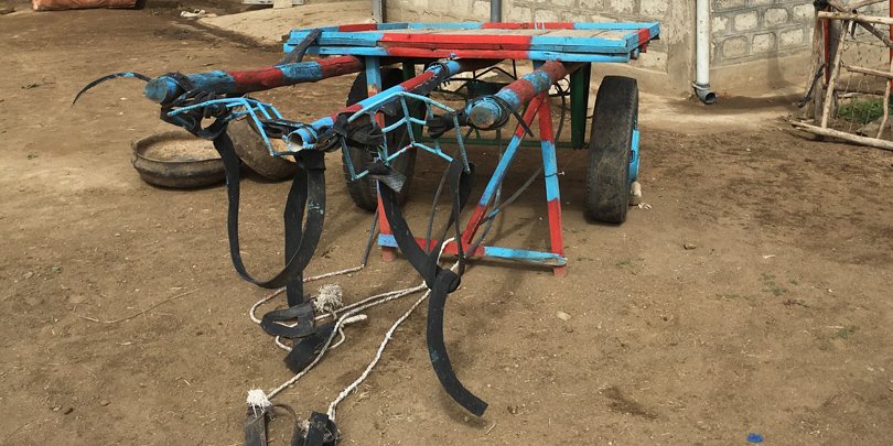 Cart designed to reduce load on donkeys New cart designed to reduce load on donkeys in Ethiopia