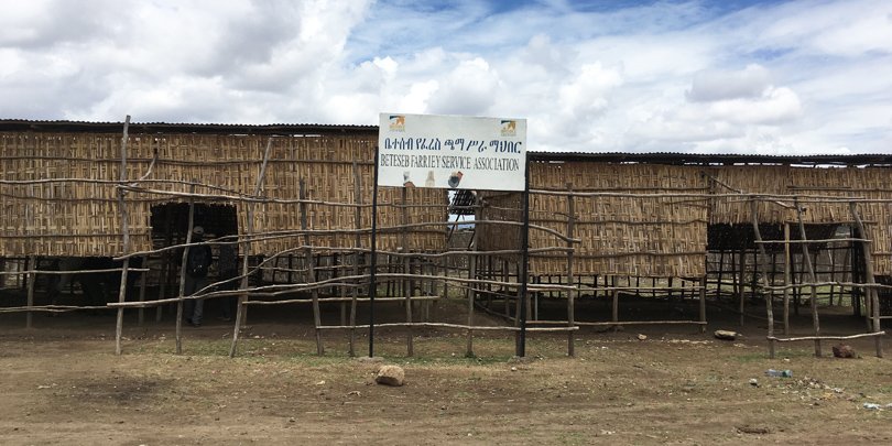 Shared working space for Brooke-trained farriers Shared working space for Brooke-trained farriers next to the Halaba shelter, Ethiopia