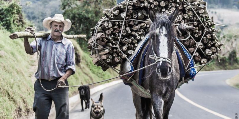 A horse and its owner transporting wood from a nearby forest. Credit/Copyright - Richard Dunwoody MBE A horse and its owner transporting wood from a nearby forest. Credit/Copyright - Richard Dunwoody MBE