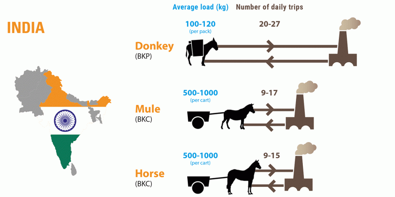 Infographic showing the average loads and distances of working equines Infographic showing the average loads and distances of working equines
