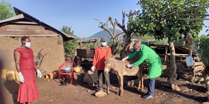 Dr James Kithuka with a donkey in Kenya Dr James Kithuka with a donkey in Kenya