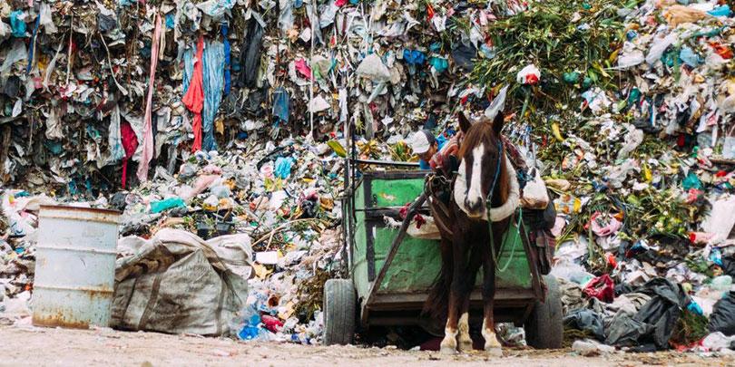 Horse working at the refuse and recycling centre in San Martin, Puebla State, where Brooke's project previously operated Horse working at the refuse and recycling centre in San Martin, Puebla State, where Brooke's project previously operated