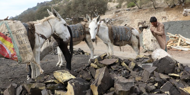 A donkey in a coal mine, Pakistan A donkey in a coal mine, Pakistan