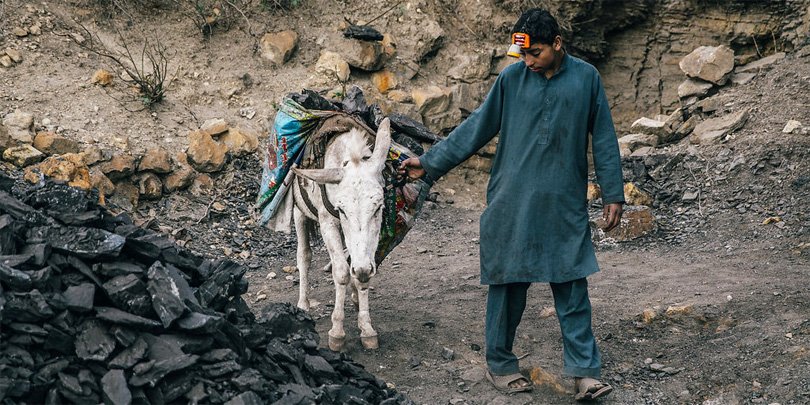 Chittoo and owner Younis Khan Chittoo and owner Younis Khan working at coal mine