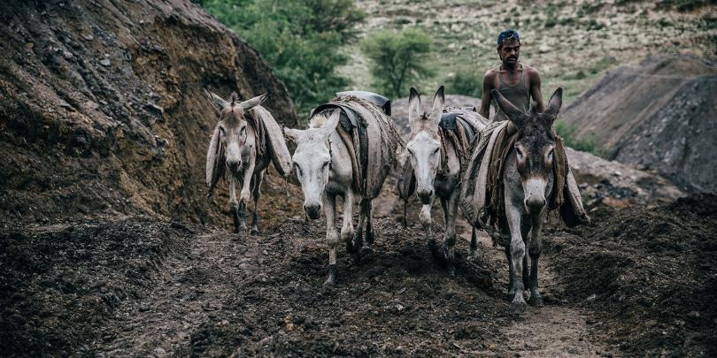 Four donkeys and their owner working a coal mine in Pakistan