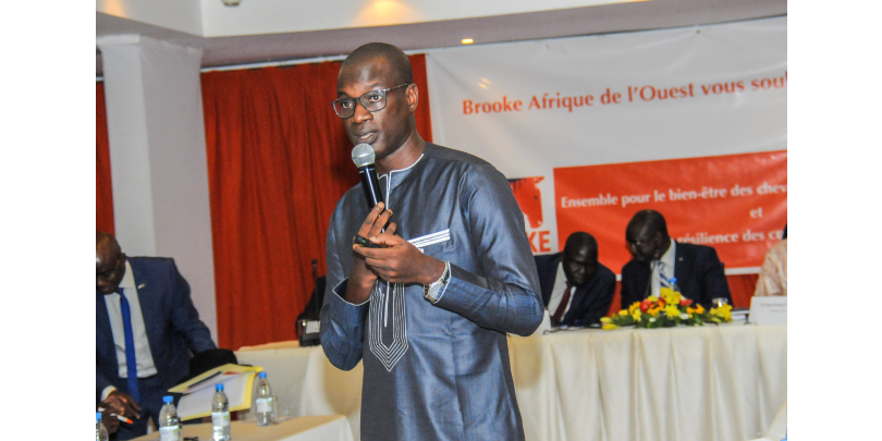 Mactar presenting a study on the contribution of equines to the national economy at a conference in Dakar Mactar Seck Brooke presentation