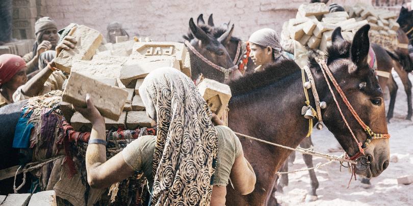 Loading brick on a horse Loading brick on a horse