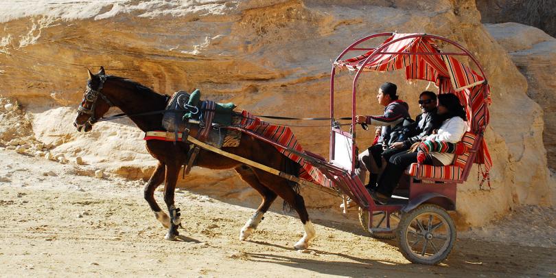 A horse pulling a carriage in Petra, Jordan A horse pulling a carriage in Petra, Jordan