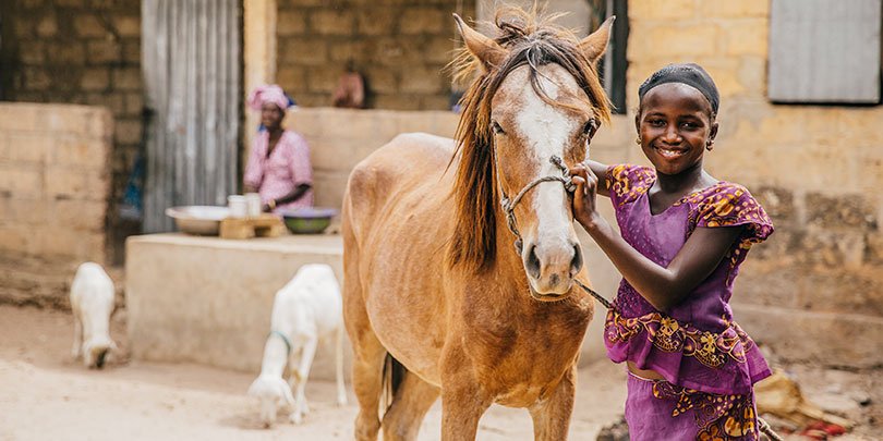 A young woman with her horse A young woman with her horse