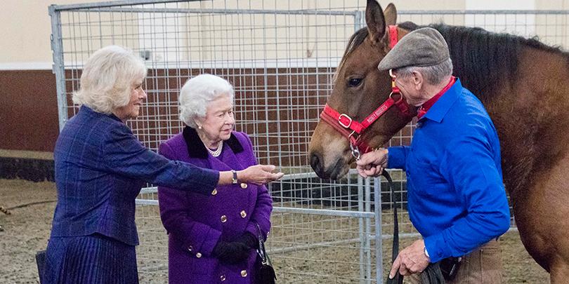 Her Majesty The Queen and Duchess of Cornwall meet Brooke ambassador Monty Roberts at our event at the Royal Mews in 2015 Her Majesty The Queen and Duchess of Cornwall meet Brooke ambassador Monty Roberts at our event at the Royal Mews in 2015