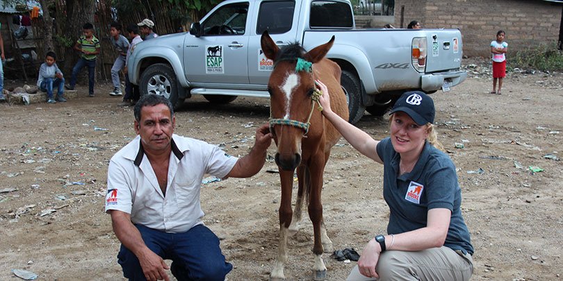 ESAP and Brooke hold humane handling workshop in Guatemala