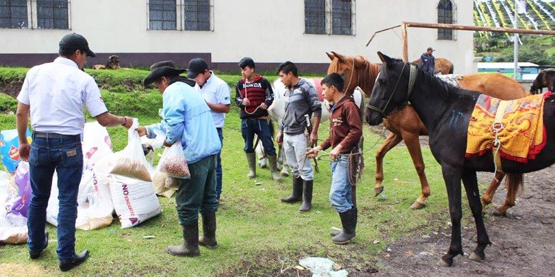 Horses and their owners awaiting vital supplies of food