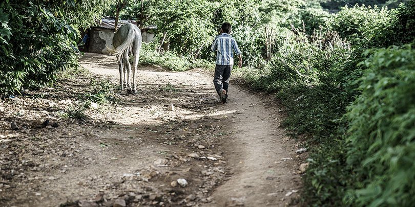 A community member walking with his horse Boy with horse walking down a track in Guatemala