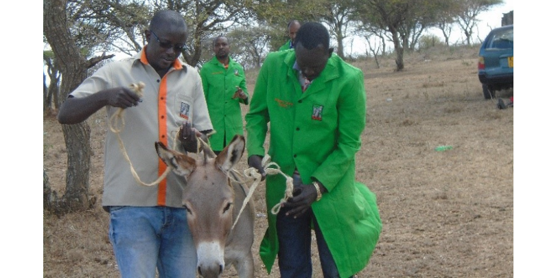 Dr Vincent Oloo with a donkey in Kenya Dr Vincent Oloo with a donkey in Kenya