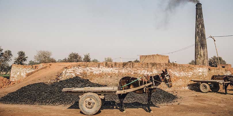 Working donkey at a brick kiln in Pakistan