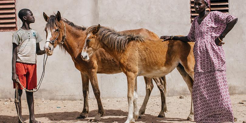 Senegal family with horses Senegal family with horses