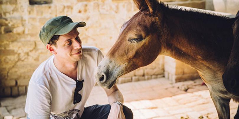 Jamie meets a mule in India Jamie meets a mule in India