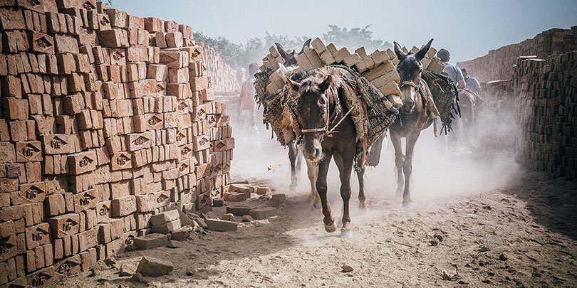 Two horses working in an Indian brick kiln