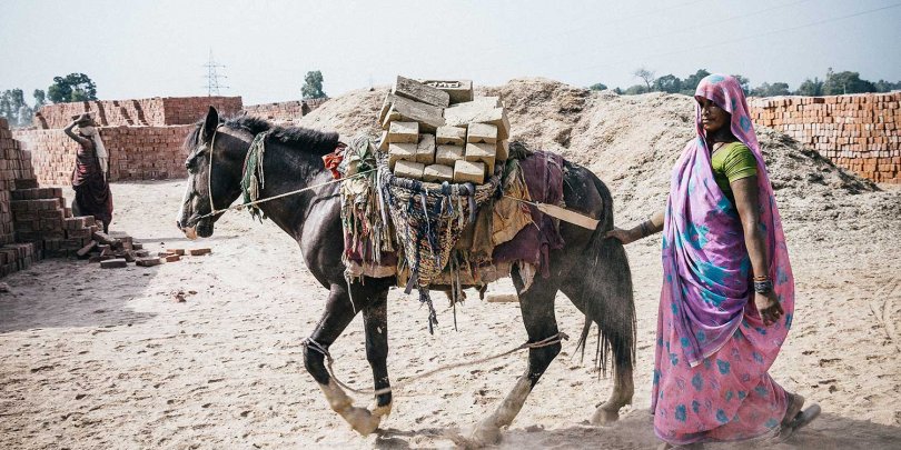 Brooke Action for Working Horses and Donkeys