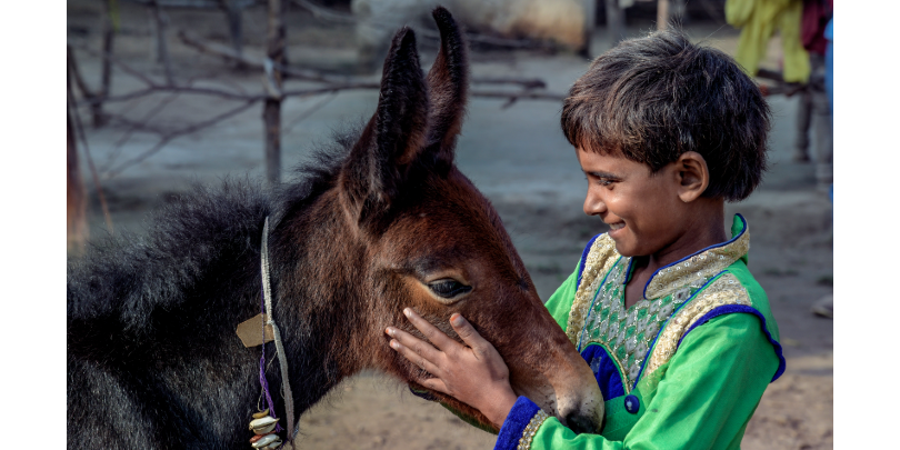 Photo by Atul Loke / Panos Pictures Photo by Atul Loke / Panos Pictures