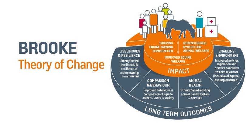 Brooke theory of change infographic