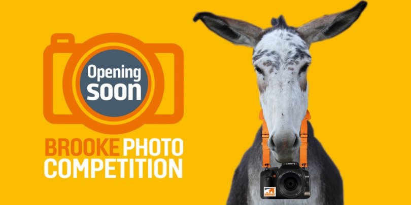 Brooke photo competition coming soon Brooke photo competition coming soon