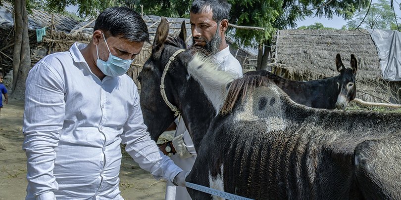 Animal Health Practitioner Animal Health Practitioner