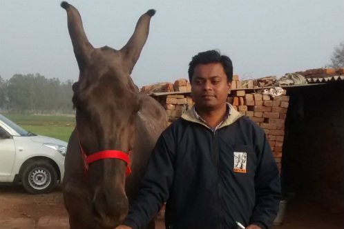 Dr Nidhish Bhardwaj Dr Nidhish Bhardwaj