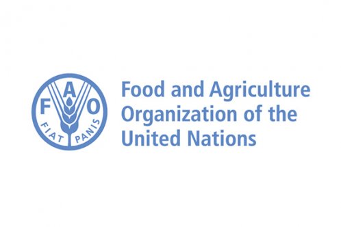 fao logo