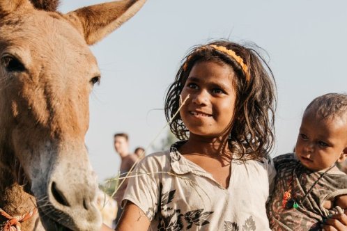 Children with equid in India. Photo credit: Freya Dowson. 