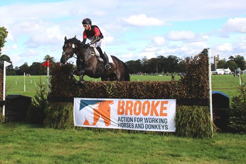 Osberton Brooke jump