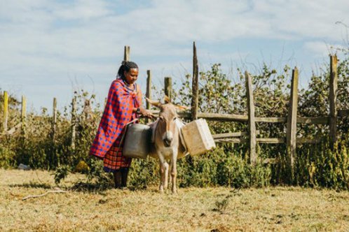 Woman and donkey in Kenya