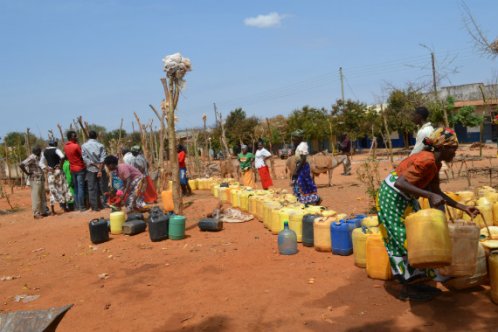 Collecting water during Kenya drought