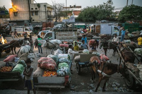 horse and cart at Food market