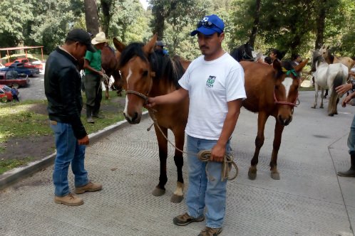 Guatemala emergency operation