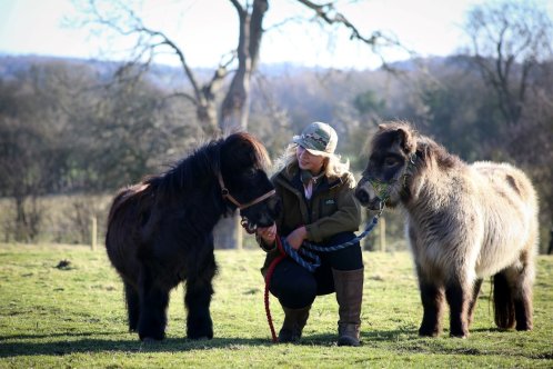 Hannah Russell at Yorkshire farm with ponies