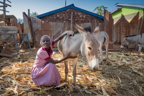 Girl and donkey in Kenya