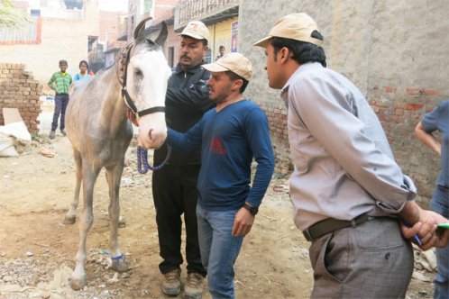 Dr Naseer Darwish receives training in India