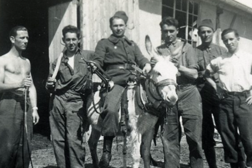 French soldiers with a donkey during WWII